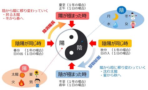 陽木 陰木 風水|樹木の陰と陽－風水歳時記